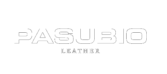 Logo Carrusel 21