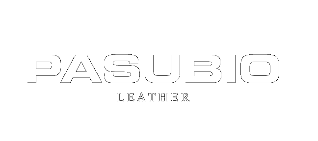 Logo Carrusel 21